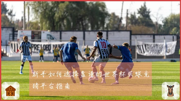 新手如何选择靠谱的世界杯买球竞猜平台指南