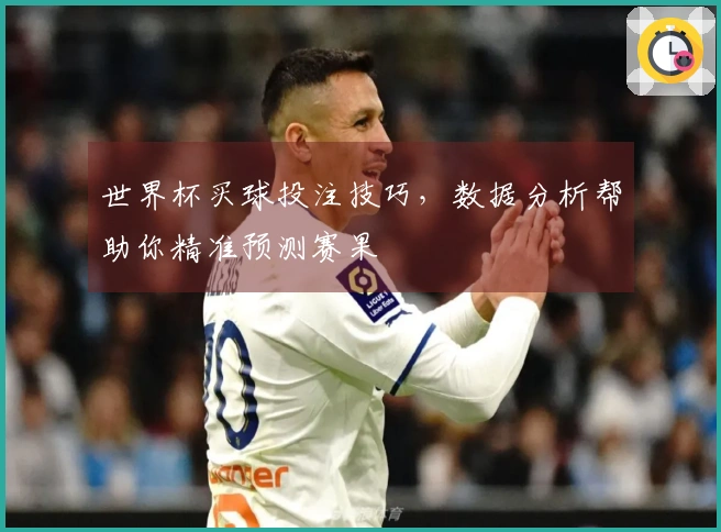 世界杯买球投注技巧，数据分析帮助你精准预测赛果