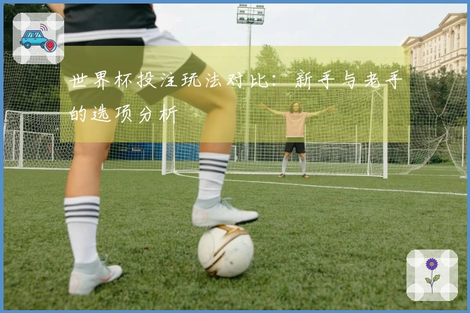 世界杯投注玩法对比:新手与老手的选项分析