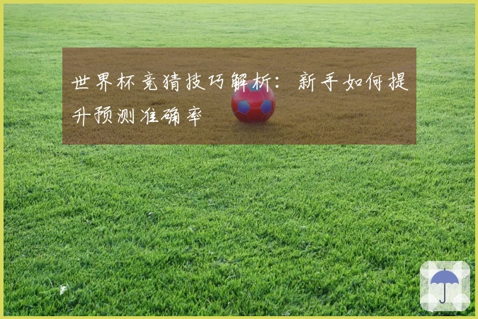世界杯竞猜技巧解析：新手如何提升预测准确率