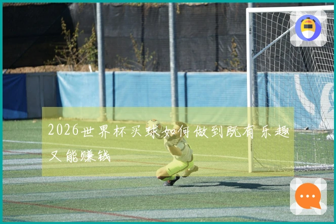 2026世界杯买球如何做到既有乐趣又能赚钱