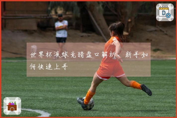 世界杯滚球竞猜盘口解析，新手如何快速上手