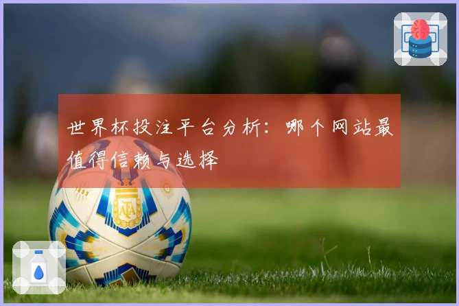 世界杯投注平台分析：哪个网站最值得信赖与选择