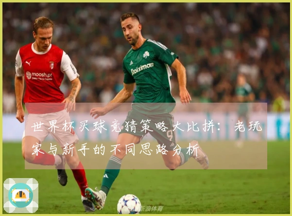 世界杯买球竞猜策略大比拼：老玩家与新手的不同思路分析