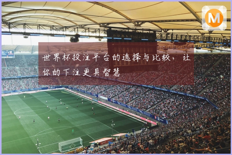 世界杯投注平台的选择与比较，让你的下注更具智慧