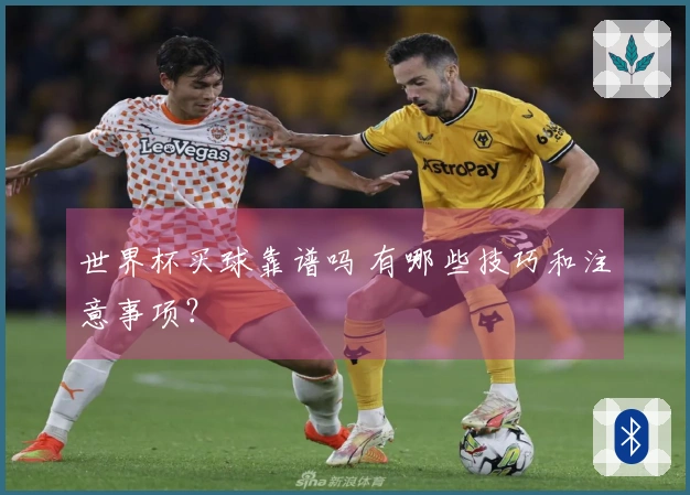 世界杯买球靠谱吗 有哪些技巧和注意事项？