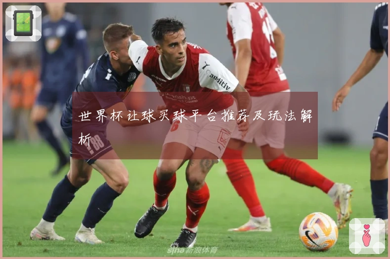 世界杯让球买球平台推荐及玩法解析