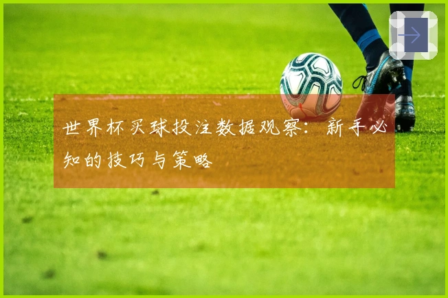 世界杯买球投注数据观察：新手必知的技巧与策略
