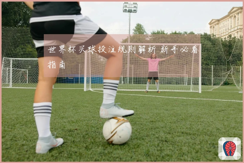 世界杯买球投注规则解析 新手必看指南