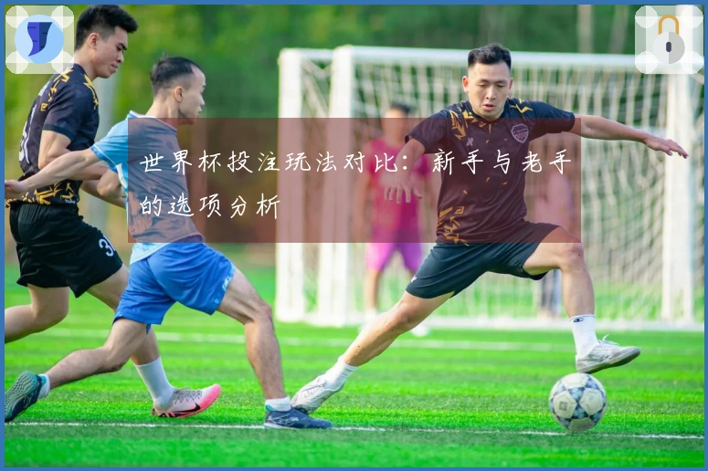 世界杯投注玩法对比：新手与老手的选项分析