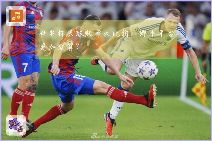 世界杯买球赔率大比拼，哪个平台更加划算？
