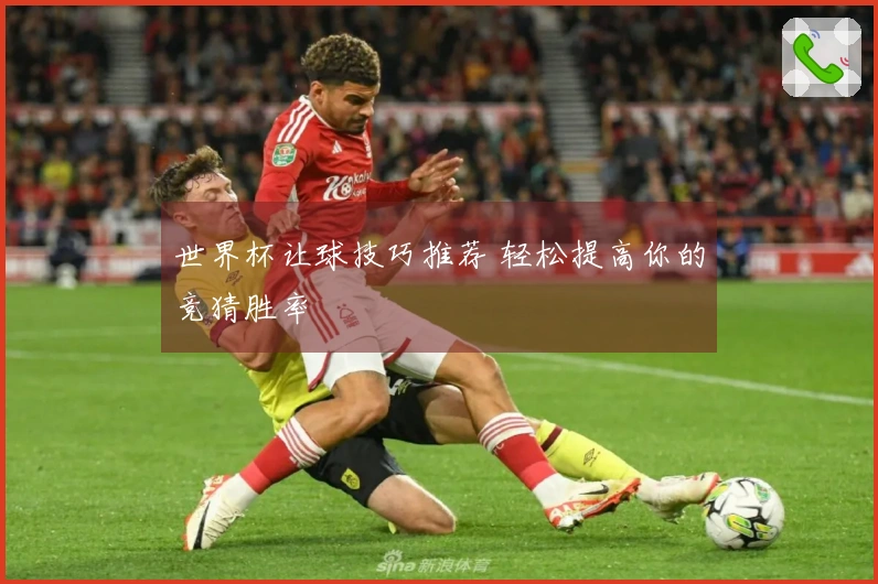 世界杯让球技巧推荐 轻松提高你的竞猜胜率