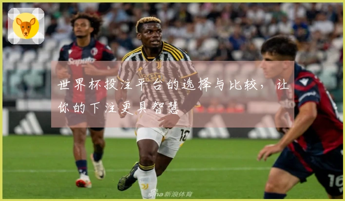 世界杯投注平台的选择与比较，让你的下注更具智慧